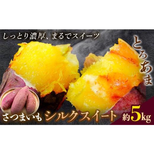 ふるさと納税 野菜類 サツマイモ 熊本県 菊池市 先行予約 シルクスイート さつまいも 約5kg 日本フルーツ株式会社[2026年11月上旬-12月中旬頃出荷]熊本県 …