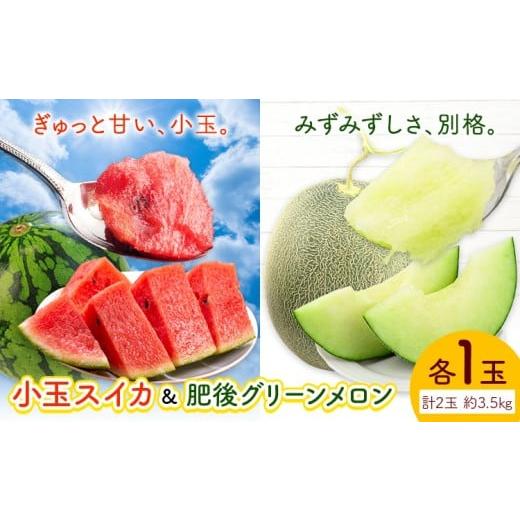 ふるさと納税 果物の詰合せ 熊本県 菊池市 小玉スイカ&amp;肥後グリーンメロン 食べ比べ 各1玉(計2玉 約3.5kg) 日本フルーツ株式会社 [5月中旬-7月末頃出荷]…