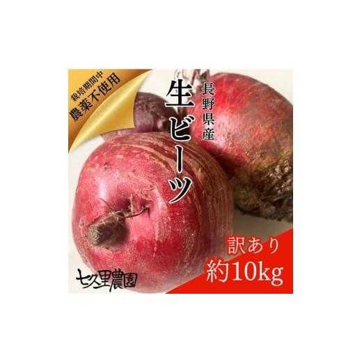 ふるさと納税 野菜類 長野県 飯田市 訳あり ビーツ 約10kg | 野菜 ビーツ レッドパワー レッドパワービーツ 定期 長野県 信州 南信州 飯田市 1回 | 寄附額 24,…