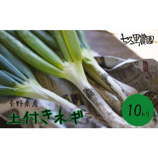 ふるさと納税 野菜類 ねぎ 長野県 飯田市 土付き ネギ 約10kg 2026年10月〜発送 | ネギ 葱 野菜 やさい 健康 大容量 長野県 飯田市