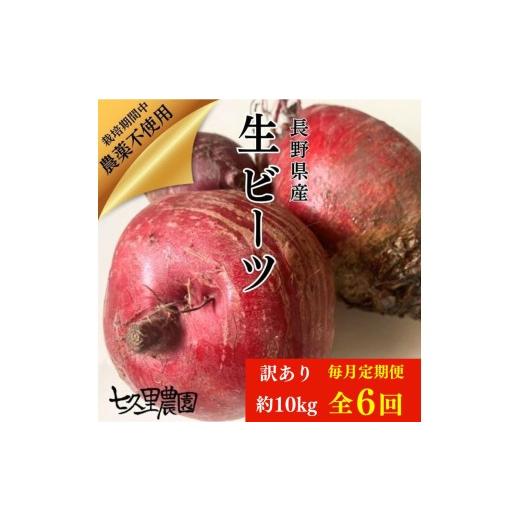 ふるさと納税 野菜類 長野県 飯田市 訳あり ビーツ 約10kg 毎月 6回 定期便 | 野菜 ビーツ レッドパワー レッドパワービーツ 定期 長野県 信州 南信州 飯田市 …