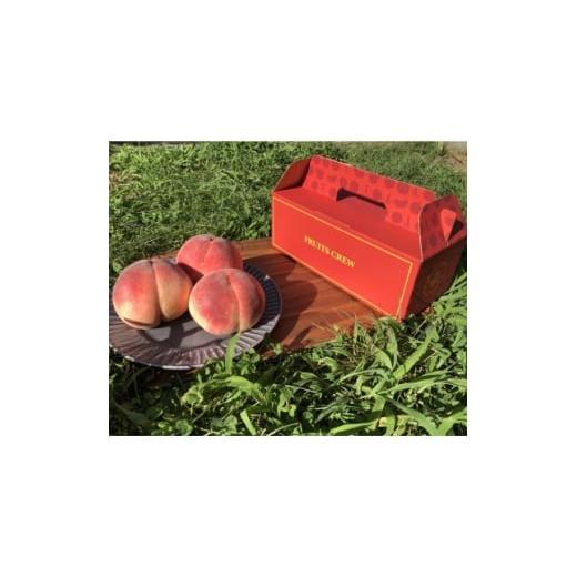 ふるさと納税 もも 山梨県 山梨市 果汁が弾ける初夏の宝石 日川白鳳 本場山梨品種指定キャンペーン1kg 6月中旬より順次発送 1704657