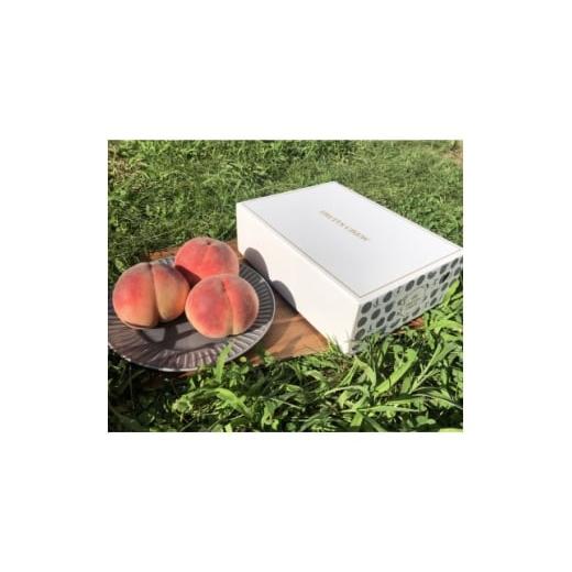 ふるさと納税 もも 山梨県 山梨市 とろり上品な甘みの麗しき夏優美 本場山梨の品種指定キャンペーン約1kg 6月中旬より順次発送 1704693