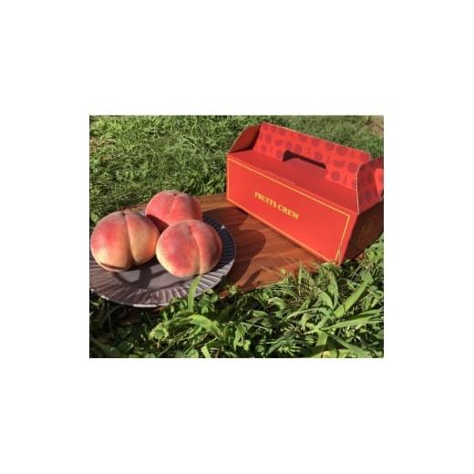 ふるさと納税 もも 山梨県 山梨市 山梨生まれ激レア品種 夢桃香 本場山梨品種指定お試し約1kg 6月下旬より順次発送 1704720