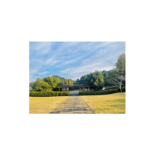 ふるさと納税 地域のお礼の品 静岡県 掛川市 お墓参り代行(拭き掃除、墓花一組) 市外居住者のみ・富士見台霊園限定 1688089