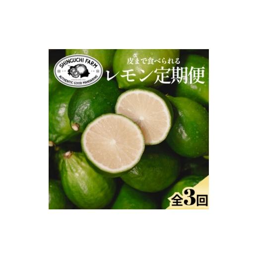 ふるさと納税 みかん・柑橘類 レモン 愛媛県 八幡浜市 3/17受付終了_ 発送月固定定期便 皮ごと食べられる グリーンレモン 防腐剤・ワックス不使用 E70-172 全…