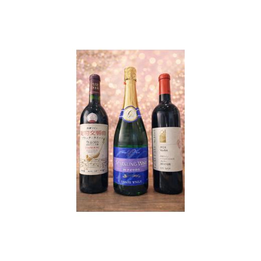 ふるさと納税 ワイン セット 長野県 塩尻市 塩尻ワイン入門の第一歩 はじめての塩尻ワイン3本セット | ワイン わいん ワイン スパークリングワイン 赤 お酒 お…