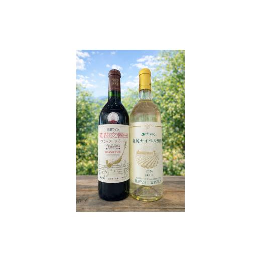 ふるさと納税 ワイン セット 長野県 塩尻市 シンプルに味わう塩尻の王道 赤白飲み比べ2本セット | ワイン わいん ワイン 白 赤 お酒 おさけ 酒 さけ ブラック…