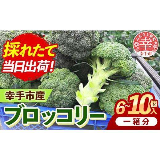 ふるさと納税 野菜類 埼玉県 幸手市 きあり農園 幸手市産 ブロッコリー 1箱 - 朝採れ 旬野菜 産地直送 野菜 ベジタブル 美味しい おいしい おつまみ 晩酌 サ…