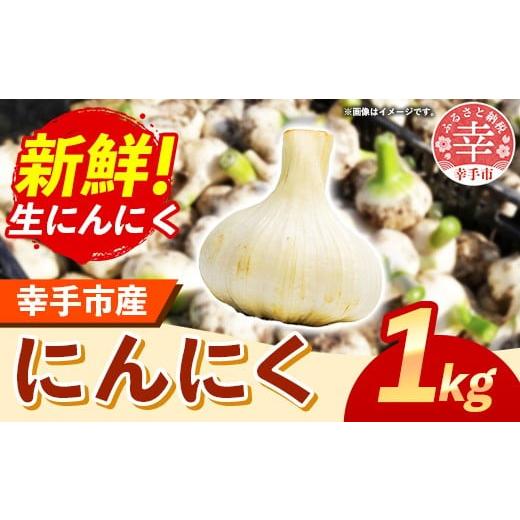 ふるさと納税 野菜類 埼玉県 幸手市 きあり農園 幸手市産 にんにく 1kg - 採れたて ニンニク ガーリック 産地直送 野菜 ベジタブル 美味しい おいしい 根菜 …
