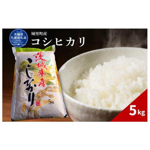 ふるさと納税 米 コシヒカリ 茨城県 利根町 コシヒカリ 5kg(茨城県共通返礼品・城里町産) / 米 こめ コメ お米 おこめ コシヒカリ こしひかり 白米 精米 ご…