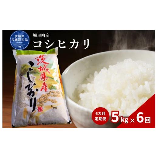 ふるさと納税 米 コシヒカリ 茨城県 利根町  6カ月定期便 コシヒカリ 5kg（茨城県共通返礼品・城里町産） ／ 米 こめ コメ お米 おこめ コシヒカリ こしひかり…の画像