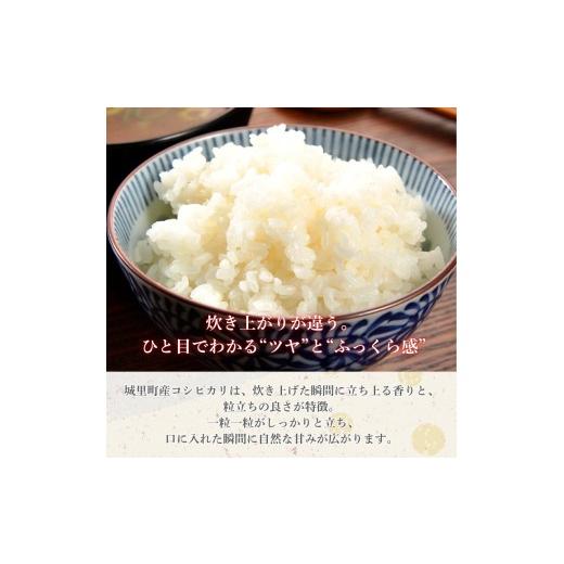 ふるさと納税 米 コシヒカリ 茨城県 利根町  6カ月定期便 コシヒカリ 5kg（茨城県共通返礼品・城里町産） ／ 米 こめ コメ お米 おこめ コシヒカリ こしひかり…の画像