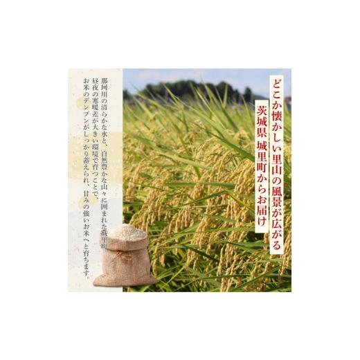 ふるさと納税 米 コシヒカリ 茨城県 利根町  6カ月定期便 コシヒカリ 5kg（茨城県共通返礼品・城里町産） ／ 米 こめ コメ お米 おこめ コシヒカリ こしひかり…の画像