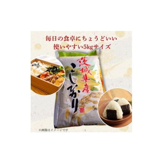 ふるさと納税 米 コシヒカリ 茨城県 利根町  6カ月定期便 コシヒカリ 5kg（茨城県共通返礼品・城里町産） ／ 米 こめ コメ お米 おこめ コシヒカリ こしひかり…の画像