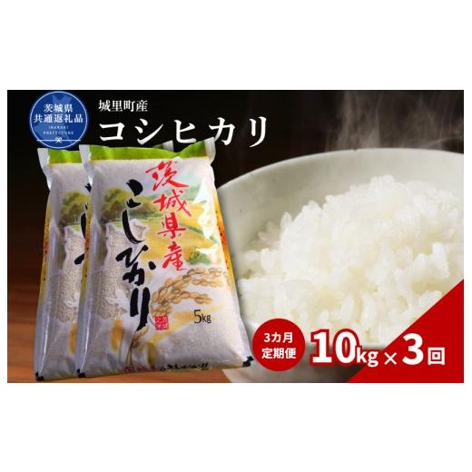 ふるさと納税 米 コシヒカリ 茨城県 利根町 3カ月定期便 コシヒカリ 10kg(茨城県共通返礼品・城里町産) / 米 こめ コメ お米 おこめ コシヒカリ こしひか…