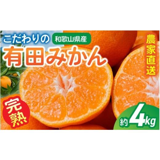 ふるさと納税 果物類 みかん 和歌山県 かつらぎ町 訳あり・ご家庭用 こだわりの有田みかん 約4kg+150g(傷み補償分) 光センサー選別 農家直送 2026年10月中に…