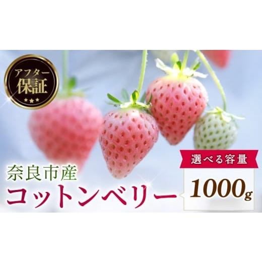ふるさと納税 いちご 奈良県 奈良市 数量限定 2026年発送 苺 いちご コットンベリー 4パック 約1000g (250g×4P) ゆりかーご 冷蔵 小分け 果物 スイーツ デザ…