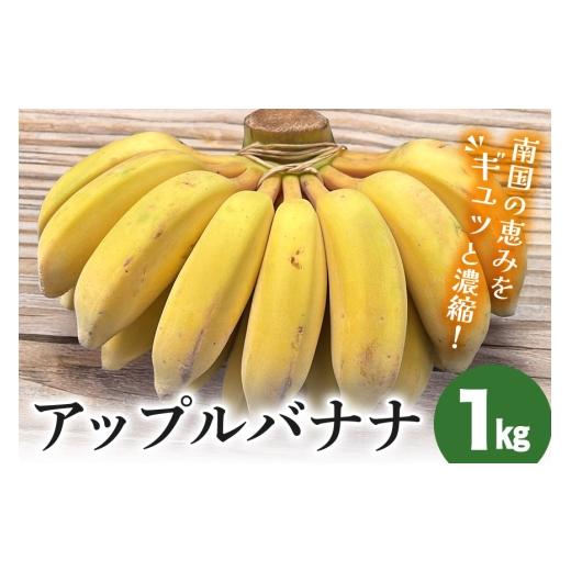 ふるさと納税 果物類 沖縄県 糸満市 アップルバナナ 1kg バナナ 島バナナ フルーツ 果物 甘い スムージー フルーティー 完熟 濃厚 もっちり ねっとり 南国 お…