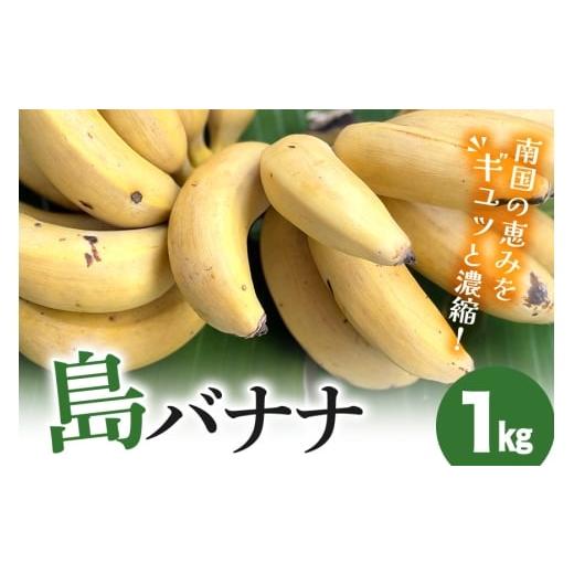 ふるさと納税 果物類 沖縄県 糸満市 島バナナ 1kg バナナ アップルバナナ フルーツ 果物 甘い スムージー フルーティー 完熟 濃厚 もっちり ねっとり 南国 お…