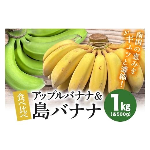 ふるさと納税 果物類 沖縄県 糸満市 島バナナ・アップルバナナ食べ比べセット1kg(各500g) バナナ 島バナナ アップルバナナ フルーツ 果物 甘い スムージー …