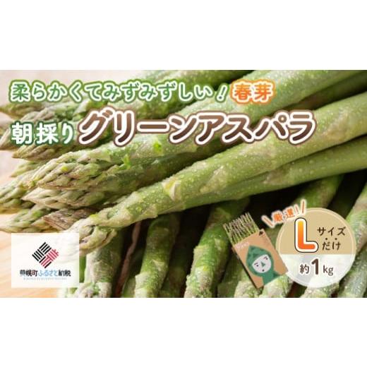 ふるさと納税 野菜類 アスパラガス 北海道 美幌町 数量限定 先行予約 2026年 柔らかくて瑞々しい朝取りグリーンアスパラ(春芽) L 1kg(2026年4月から順次発送…
