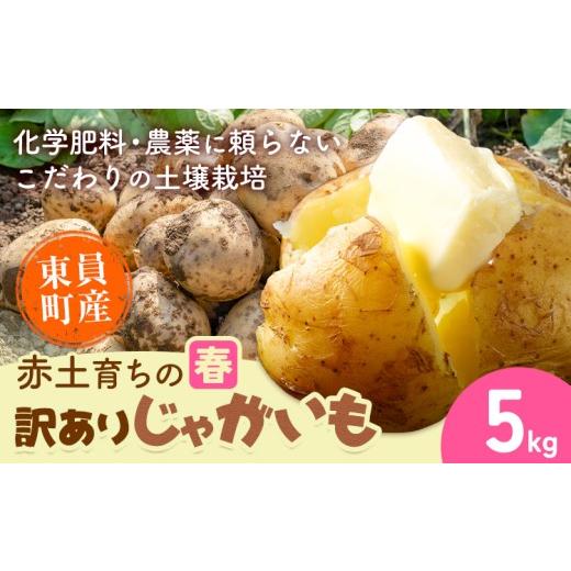 ふるさと納税 野菜類 じゃがいも 三重県 東員町 春じゃがいも 東員町産 赤土 育ち の 訳あり じゃがいも 約5kg[5月下旬-7月下旬頃出荷(土日祝除く)]三重県 …