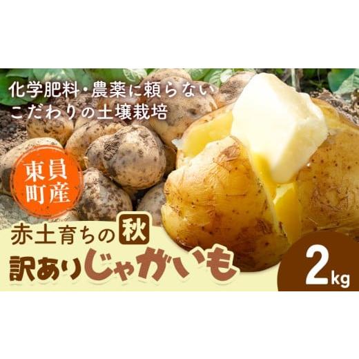 ふるさと納税 野菜類 じゃがいも 三重県 東員町 秋じゃがいも 東員町産 赤土 育ち の 訳あり じゃがいも 約2kg[10月下旬-1月下旬頃出荷(土日祝除く)]三重県…