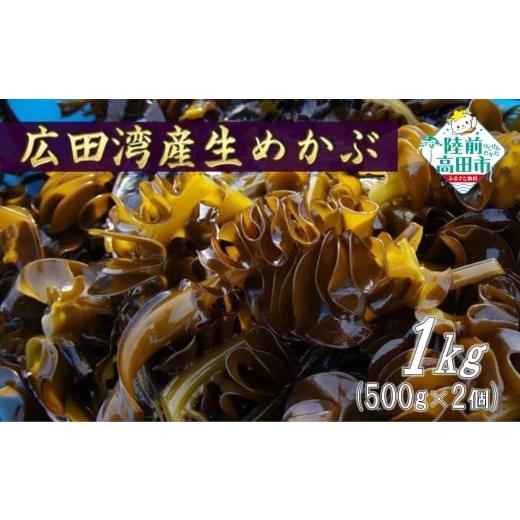 ふるさと納税 のり・海藻 わかめ 岩手県 陸前高田市 広田湾で採れた新鮮生めかぶ 1kg (500g×2個) めかぶ メカブ 旬 生 冷蔵 海藻 陸前高田市 三陸 広田湾 RT3…