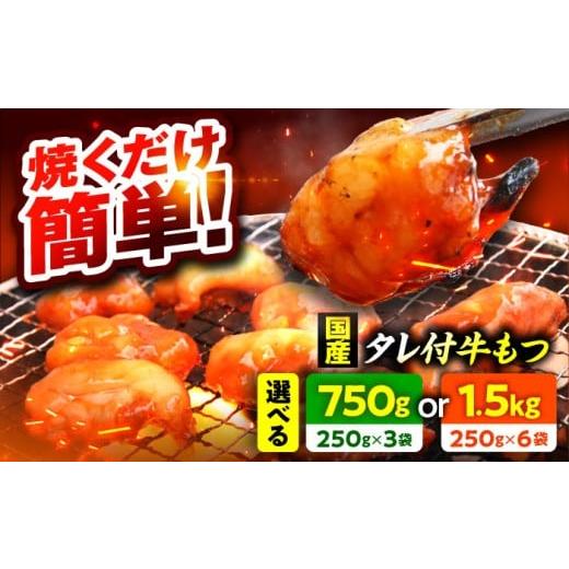 ふるさと納税 牛肉 ホルモン 福井県 小浜市 小分け 秘伝のタレ付 牛 もつ セット 10人前|小分け 6袋 計1.5kg 国産 味噌 もつ鍋 焼肉 時短 簡単 小腸 国産牛 …