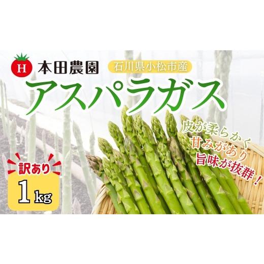 ふるさと納税 野菜類 アスパラガス 石川県 小松市 先行予約 アスパラガス 1kg (訳アリ) 野菜 訳あり アスパラ | 石川県 小松市 本田農園