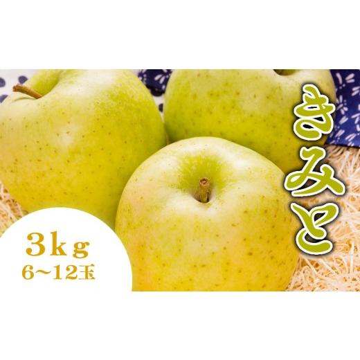 ふるさと納税 りんご 山形県 天童市 08-01-198 りんご(きみと)3kg