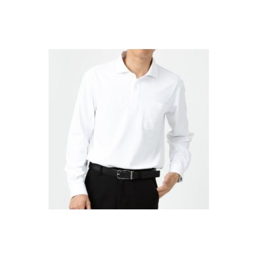 ふるさと納税 服 男 鳥取県 伯耆町 3-Dシステムから注文できるオーダーメイドポロシャツ 1682390