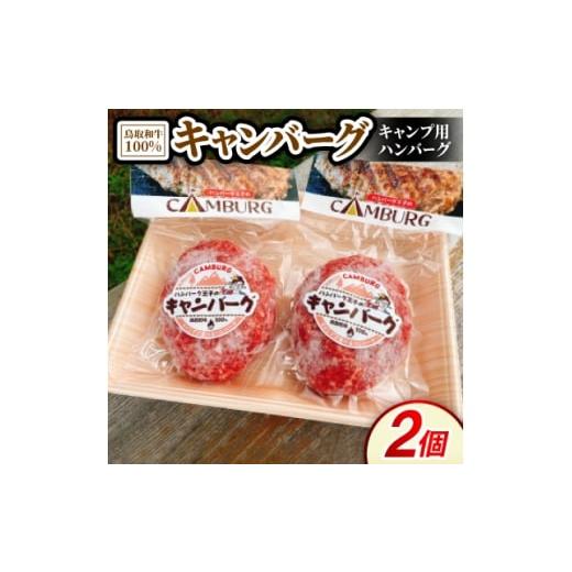 ふるさと納税 牛肉 ハンバーグ 鳥取県 伯耆町 キャンバーグ300g×2個(鳥取和牛100%キャンプ用ハンバーグ) 1682805