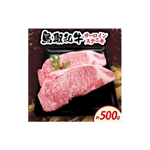 ふるさと納税 牛肉 ステーキ 鳥取県 伯耆町 鳥取和牛サーロインステーキ 500g (2枚入) 1682819