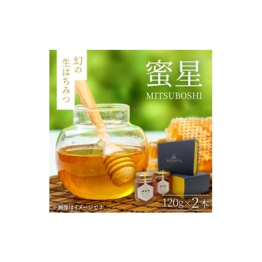 ふるさと納税 加工品等 はちみつ 鳥取県 伯耆町 蜜星 幻の生はちみつ(120g×2本) 1683402