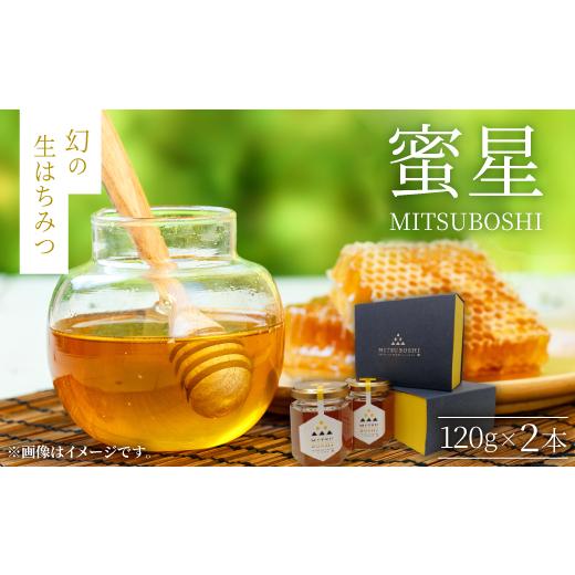 ふるさと納税 加工品等 はちみつ 鳥取県 伯耆町  蜜星 幻の生はちみつ(120g×2本) 1683402の画像