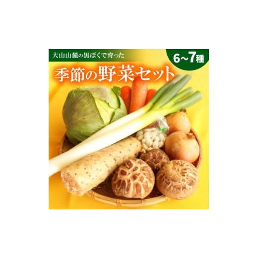 ふるさと納税 野菜類 鳥取県 伯耆町 季節の野菜セット(6〜7種) 1684547