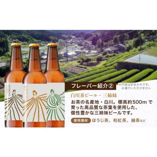 ふるさと納税 ビール 地ビール 岐阜県 白川町  6月発送 農LAND BEER クラフトビール 6種(各種4本) 計24本 詰め合わせBOX 飲料 お酒 セット 白川町 ／ Sunpo AW…の画像