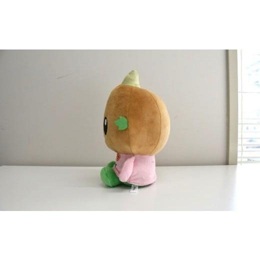 ふるさと納税 地域のお礼の品 山口県 田布施町 たぶせPRキャラクター たぶちゃん ぬいぐるみ_2