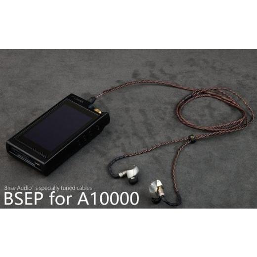ふるさと納税 TV・オーディオ・カメラ 群馬県 玉村町 BSEP for A10000 (3極3.5mm L型) イヤフォンリケーブル ブリスオーディオ 3極3.5mm L型