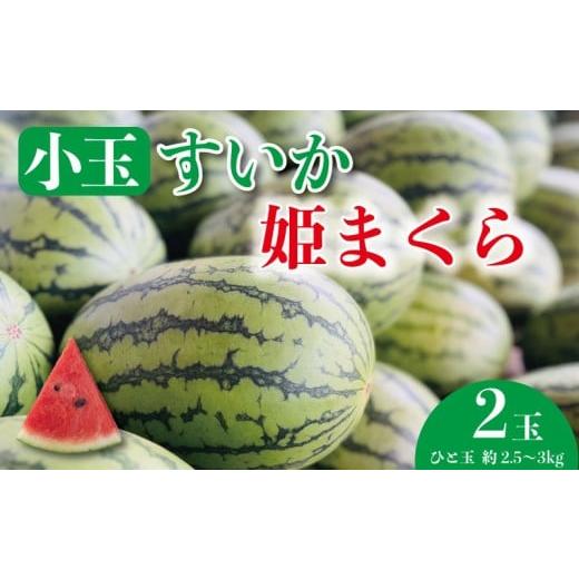 ふるさと納税 スイカ 千葉県 銚子市 先行予約 すいか 小玉スイカ 2玉 姫まくら 期間限定 スイカ 西瓜 季節の果物 果物 くだもの フルーツ 夏フルーツ 旬 産…