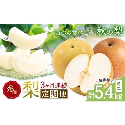 ふるさと納税 梨 熊本県 長洲町 3ヶ月定期便 梨 定期便 秀品 3ヶ月連続 梨の定期便 ミニ 計5.4kg 日本フルーツ株式会社[8月上旬-10月末頃出荷]熊本県 長洲…