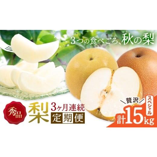 ふるさと納税 梨 熊本県 長洲町 3ヶ月定期便 梨 定期便 秀品 3ヶ月連続 梨の定期便 スペシャル 計15kg 日本フルーツ株式会社[8月上旬-10月末頃出荷]熊本県 …