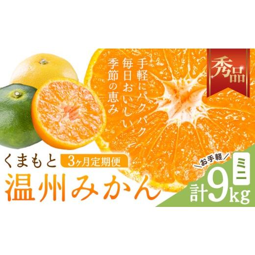 ふるさと納税 果物類 みかん 熊本県 長洲町 3ヶ月定期便 みかん 定期便 秀品 温州みかん ミニ 計9kg 日本フルーツ株式会社[10月上旬-12月末頃出荷]熊本県 …