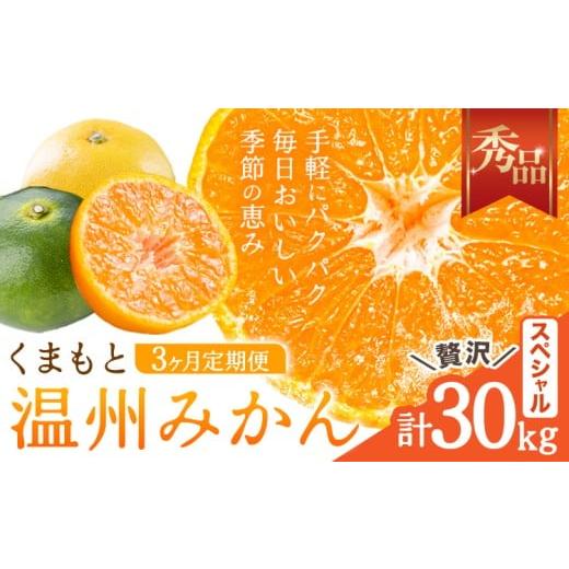 ふるさと納税 果物類 みかん 熊本県 長洲町 3ヶ月定期便 みかん 定期便 秀品 温州みかん ペシャル 計30kg 日本フルーツ株式会社[10月上旬-12月末頃出荷]熊…