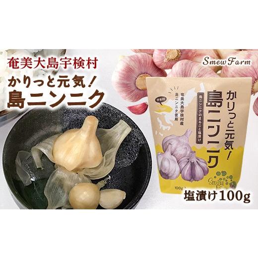 ふるさと納税 加工品等 漬物 鹿児島県 宇検村 先行予約 2026年5〜6月頃順次発送予定 カリッと元気 島ニンニク(塩)100g 島ニンニク 塩漬け 無農薬栽培 壺発…