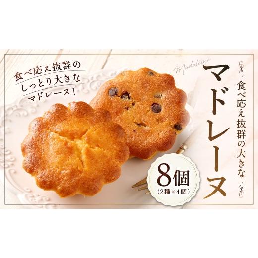 ふるさと納税 焼菓子・チョコレート マドレーヌ 山形県 白鷹町 大きい マドレーヌ(プレーン・チョコチップ) 8個 お菓子 菓子 デザート スイーツ マドレーヌ …