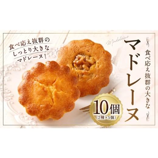 ふるさと納税 焼菓子・チョコレート マドレーヌ 山形県 白鷹町 大きい マドレーヌ(プレーン・くるみ) 10個 お菓子 菓子 デザート スイーツ マドレーヌ ビッ…