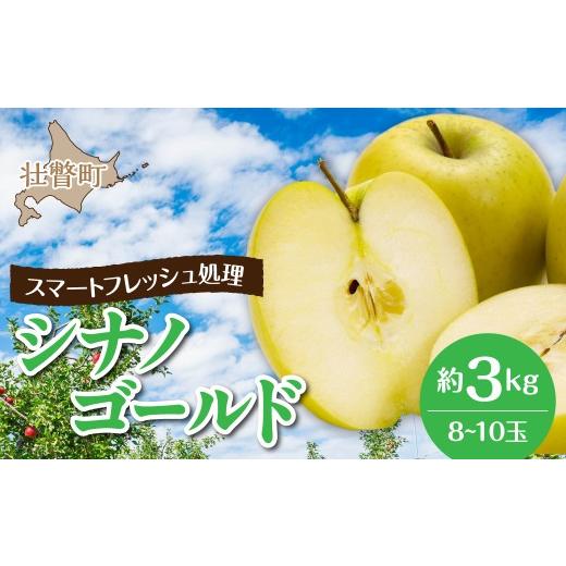 ふるさと納税 りんご 北海道 壮瞥町 北海道壮瞥町 りんご(スマートフレッシュ) 品種名「シナノゴールド」8〜10玉約3kg ふるさと納税 人気 おすすめ ランキ…